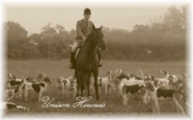 The Unison Hounds - c prior 1900